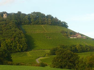 Handthal fränkisches Weinland